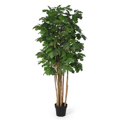 Florafy Kunstplant Eik 170cm - Kunstplanten voor binnen - Onderhoudsvrij