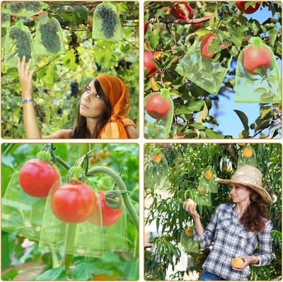 100 stuks - 15*20 cm - Plantenbeschermhoezen - Fruit Bescherming Zakken - Plantbescherming - tuinplantenfruitbeschermingszakken - organza zakken - met trekkoord - ter bescherming tegen wespen, fruitvliegjes, kevers en vogels - groen