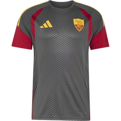 adidas AS Roma Tiro 26 Training Shirt - Grijs- Heren, Grijs L