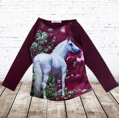 Aubergine longsleeve met paard - Paars - 110/116