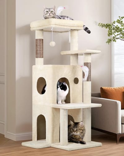 Famanu - Krabplatform voor senior katten, zachte ligplek met lage instap