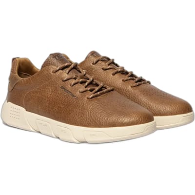 Baskets TBS Jazairy