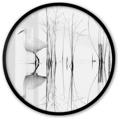 Poster in lijst Rond - Fotolijst 40x40 cm - Posters - Vogel - Water - Planten - Natuur - Ronde posterlijst zwart - Decoratie - Wanddecoratie woonkamer - Muurdecoratie slaapkamer