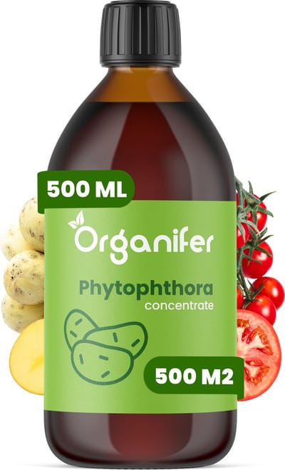 Phytophthora Concentraat 500ml - Voor 500m2 - Aardappelziekte Bestrijding - Voorkomt en geneest Aardappelplanten en Tomatenplanten - Organifer