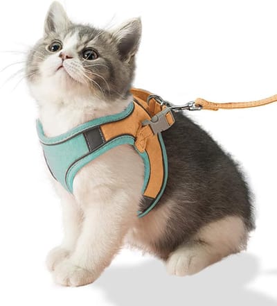Lexium Kattenharnas - Kattentuigje met looplijn - Katten harnas - Kattenharnas met leiband - Kattenharnas met looplijn - Kattenlijn - Kattentuig