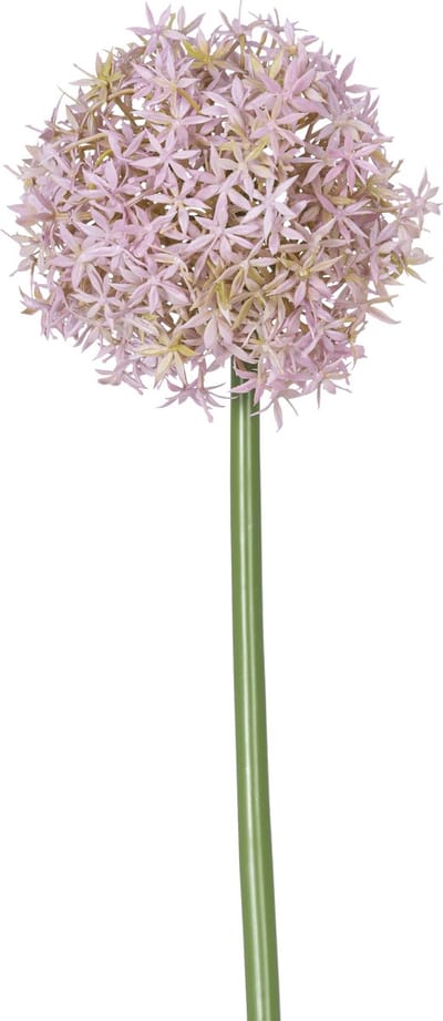 Easyplants | Kunstbloem Allium Groot 80 cm paars | Zijde | Nepbloemen | paars | Onderhoudsvrij | Kant-en-klaar