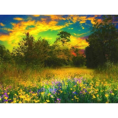 5D diamant schilderij herfst landschap bloem diamant borduurwerk 20X30CM yellow