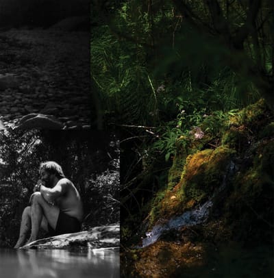Myrddin & Imre - Zwaluwe (LP)