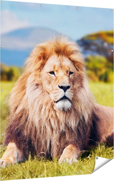 Gards Tuinposter Leeuw - 120x160 cm - Tuindoek - Tuindecoratie - Wanddecoratie buiten - Tuinschilderij