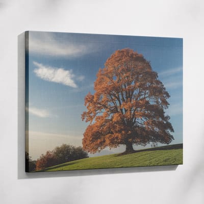 Saammp Muurcirkel Hout - Vrouw - Kunst - abstract - Ø 80 - Wandcirkel - Wanddecoratie Cirkel - Muurdecoratie Woonkamer - Slaapkamer decoratie - Rond Schilderij