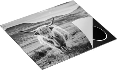 Chefcare Inductie Beschermer Schotse Hooglander in de Wei - Kleur - Zwart Wit - 60x50 cm - Afdekplaat Inductie - Kookplaat Beschermer - Inductie Mat