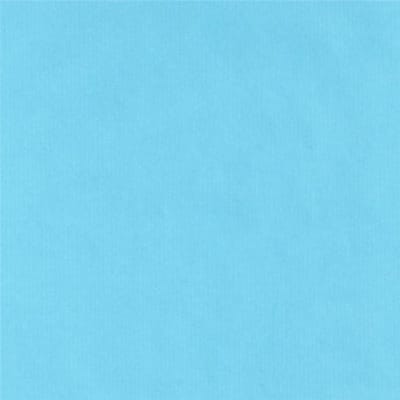 Cadeaupapier Rol - Verpakking - Cadeaus Versieren - Ecologisch Materiaal - 70 x 100 m - Blauw
