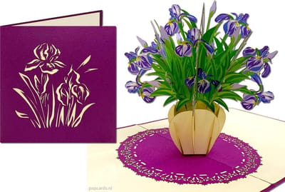 Popcards popupkaarten – Verjaardagskaart Bloemen Iris Irissen Vriendschap Felicitatie Beterschap Troost pop-up kaart 3D wenskaart