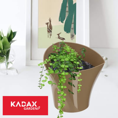 KADAX Bloempot, plantenpot, moderne vorm, bloempot, plantenpot van kunststof, decoratie, plantenbak voor binnen, bloemen, planten, balkon, bloempot, plantenbak (17 cm, beige)