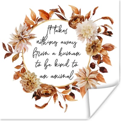 Poster Quotes - It takes nothing away from a human to be kind to an animal - Spreuken - Dieren - 100x100 cm XXL