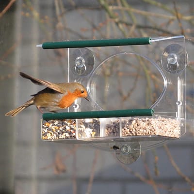 Bolmso - Raamvoederhuis - Birdfeeder - Kunststof