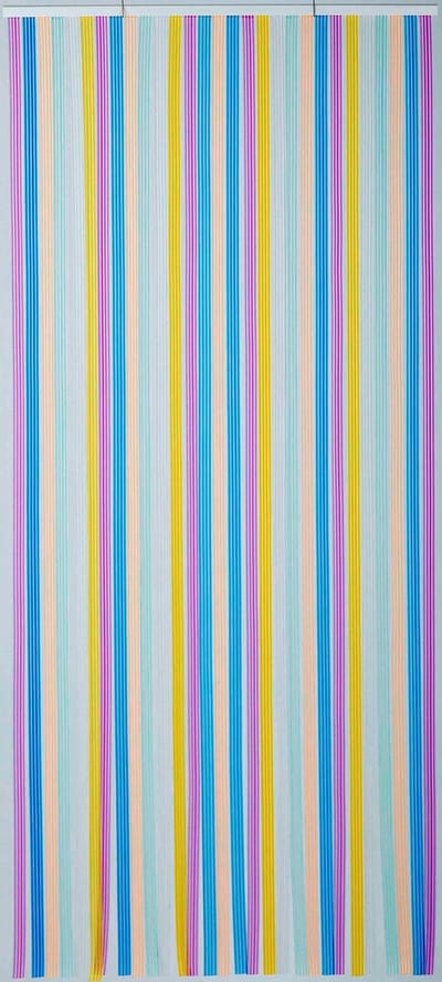 Vliegengordijn/deurgordijn lamellen multicolor 90x220
