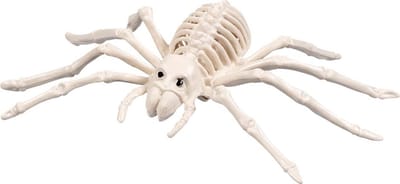 Halloween Spinnenskelet.