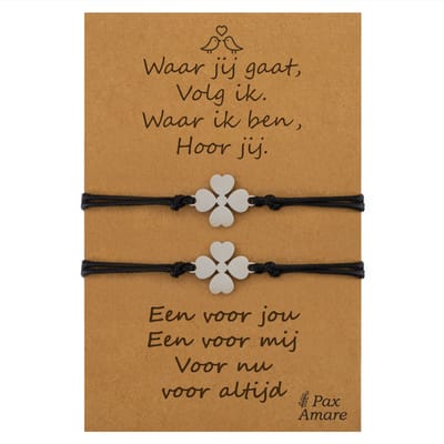 Vriendschapsarmbandjes voor 2 "Waar jij gaat, volg ik" - Klavertje Vier - BFF Armbandjes met Persoonlijk Cadeau Kaartje - Zilverkleurig - Elastisch Verstelbaar - Pax Amare