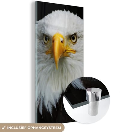 MuchoWow® Glasschilderij 20x40 cm - Schilderij acrylglas - Arend - Zwart - Wit - Foto op glas - Schilderijen