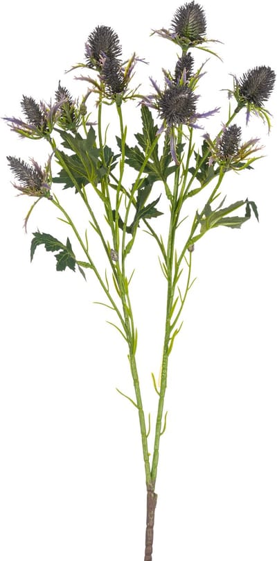 Easyplants | Kunsttak Distel 68 cm blauw | Zijde | Nepbloemen | blauw | Onderhoudsvrij | Kant-en-klaar
