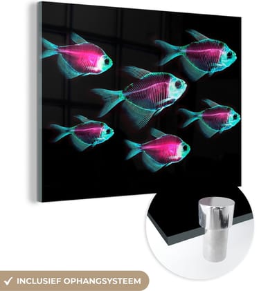 MuchoWow® Glasschilderij 160x120 cm - Schilderij acrylglas - Vis - Paars - Blauw - Foto op glas - Schilderijen