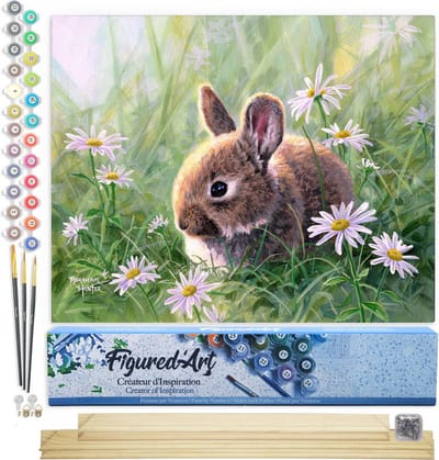 Figured'Art Schilderen op Nummer Volwassenen canvas Konijn en margrieten - Handwerk acrylverf Kit DIY Compleet - 40x50cm met DIY houten lijst