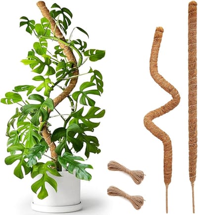 Set van 2 stuks 60 cm lange buisvormige kokosvezelstokken - Flexibele mosstokken voor Monstera en klimplanten - Handgemaakte steunstokken voor potplanten - Klimhulp voor kamerplanten