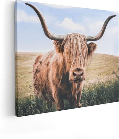 Artaza Canvas Schilderij Hooglander - 50x40 cm - Muurdecoratie Gewei - Wanddecoratie Dierenkop - Schilderijen Op Canvas