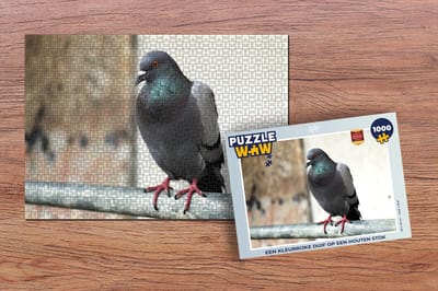 Puzzel Een kleurrijke duif op een houten stok - Legpuzzel - Puzzel 1000 stukjes volwassenen
