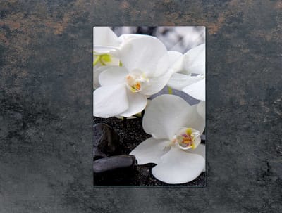 TMK ArtDeko Serie - Snijplank - Glas - 35x52 cm - Orchidee