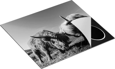 Chefcare Inductie Beschermer Twee Schotse Hooglanders op een Heuvel - Zwart Wit - 60x50 cm - Afdekplaat Inductie - Kookplaat Beschermer - Inductie Mat