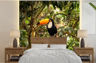 Behang - Fotobehang Vogel - Toekan - Jungle - Natuur - Tropisch - Breedte 220 cm x hoogte 220 cm