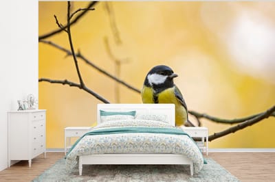 Behang - Fotobehang Koolmees - Tak - Vogel - Dieren - Breedte 295 cm x hoogte 220 cm