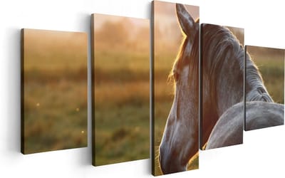 Artaza Canvas Schilderij Vijfluik Paard In De Weide Tijdens Zonsondergang - 100x50 - Foto Op Canvas - Canvas Print