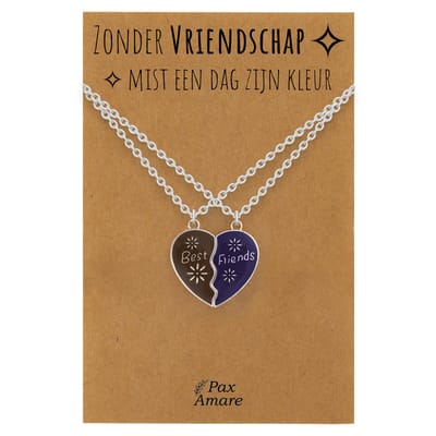 BFF Ketting voor 2 'Zonder Vriendschap mist een dag zijn kleur' - Magnetisch Hartje - VERANDERT VAN KLEUR! - Vriendschapsketting op Cadeau Kaartje - 45cm + 5cm verstelbaar - Zilverkleurig - Best Friends Hanger - Pax Amare