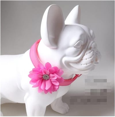 Verstelbare halsband voor katten en honden met verwijderbare bloemen en metalen gesp, paars, 2 x 45 cm, ideaal voor puppy's en katten, trendy en veilig