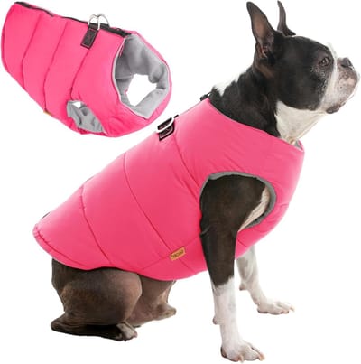 Honden winterjas - Hondenjasje gewatteerd - Hond warm houden - Pijnvrije rits - XS borstomvang 33cm - Roze