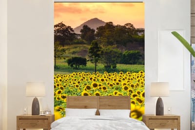Behang - Fotobehang Zonnebloem - Natuur - Berg - Breedte 200 cm x hoogte 300 cm