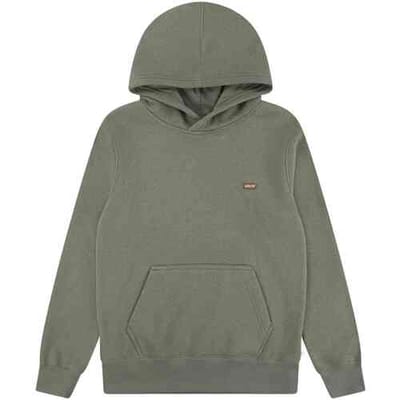 Capuchon sweaters Levis 8EL452-EHF