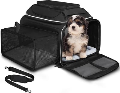 Huisdierdrager Vliegtuig - Reismand Hond Kat - Vliegen Onder Stoel - Uitbreidbaar Ventilatie - 45x28x28 cm - Zwart