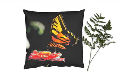 Sierkussens - Kussentjes Woonkamer - 45x45 cm - Vlinder - Botanisch - Bloem