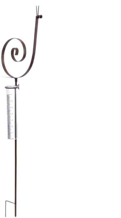 Decoratieve Regenmeter - Slak Regenmeter - Tuinieren Weer Bijhouden - Roestvrij Metaal - 93 x 20 cm - Niet gespecificeerd
