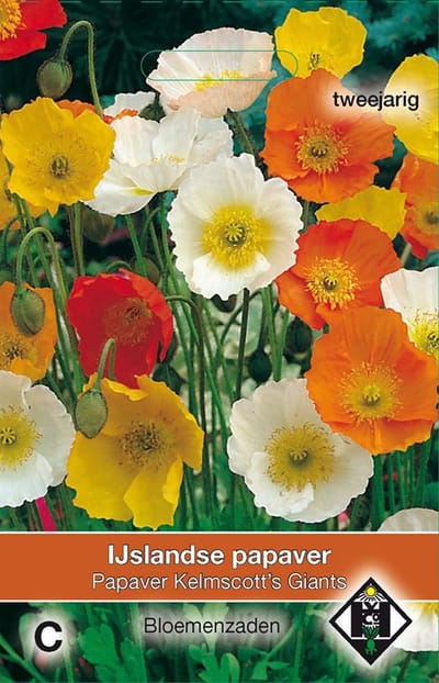 2 stuks Papaver nudicaule Kelmscott s GiantsVan Hemert & Co
