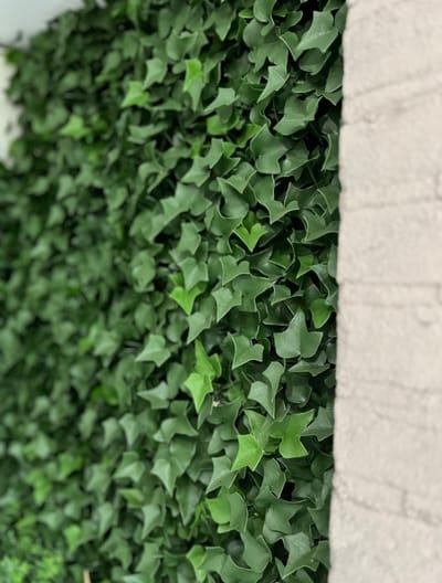 Kunst Hedera Klimop mat 25x25 cm UV