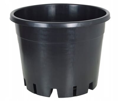 Plantenbak Blauwe Bes 39x30cm - 25L - Speciale Bodem