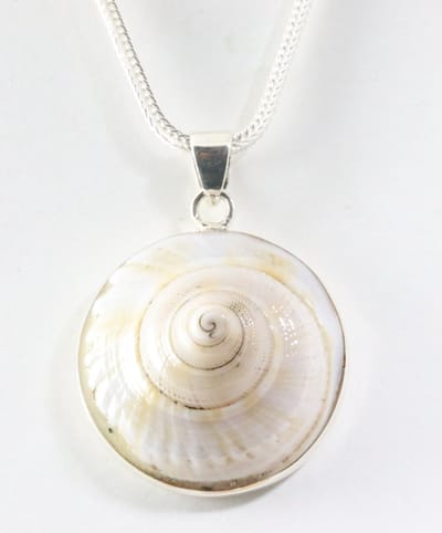 Grote ronde zilveren hanger met nautilus schelp aan vossenstaart ketting