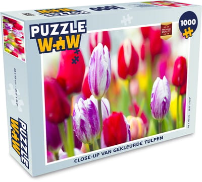 Puzzel Close-up van gekleurde tulpen - Legpuzzel - Puzzel 1000 stukjes volwassenen