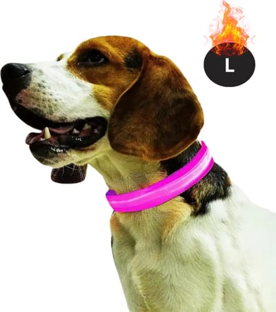 Bovista Lichtgevende Halsband - Verlichte Halsband - Lichtgevend - Hond - Kat - Lampje - Hondenhalsband Led - Oplaadbaar - Glow In The Dark - Roze - L