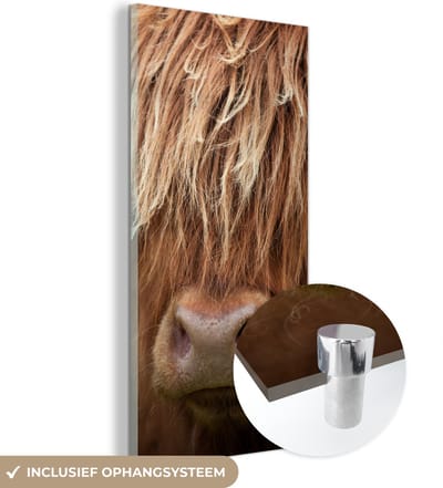 MuchoWow® Glasschilderij 20x40 cm - Schilderij acrylglas - Schotse Hooglander - Neus - Haar - Foto op glas - Schilderijen